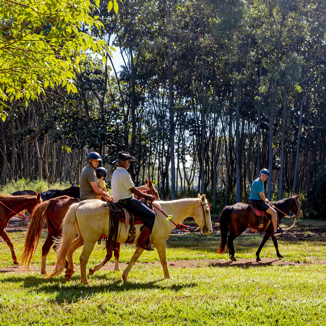 Um Resort no Interior de São Paulo Pensado para Famílias com Crianças
